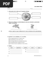 Evaluación Inicial de CCNN