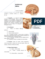 4_tronco_encefalico.pdf