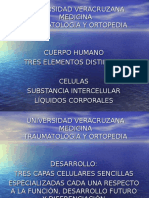 Universidad Veracruzana Trauma
