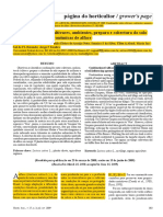 Ccombinações Entre Cultivares, Ambientes, Preparo e Cobertura Do Solo PDF