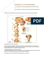 Tutoria 1 - Resumo PDF