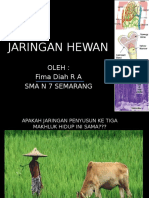 Jaringan Hewan