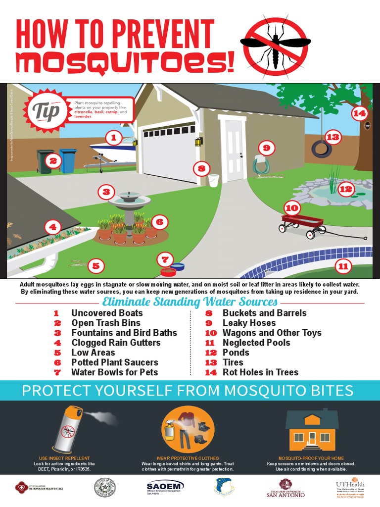 Mosquito Prevention Flyer PDF Mosquito Organisms