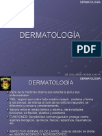 Principios Dematología