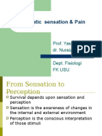 K11-Somatic Sensation & Pain-DMS
