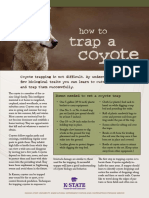 Coyote Traps