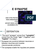 Group Synapse