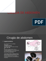 Cirugia de Abdomen