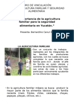 Importancia Importancia de La Agricultura Familiar de La Agricultura Familiar y La Seguridad Alimentaria en Yucatán.