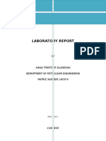 Lab Report