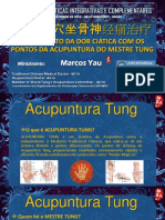 296490426-Acupuntura-Do-Mestre-Tung-Marcos-Yau-Simposio-Bh-12-2015.pdf