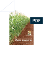 Maize Production and Processing | PDF | Maize | Seed