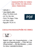 PHÂN HỌ VANG (CAESALPINIONDEAE) VÀ PHÂN