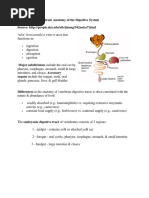 Comparative Vertebrate Anatomy of The Digestive System Source: Http://people - Eku.edu/ritchisong/342notes7.html