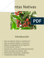 Plantas Nativas