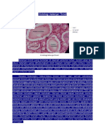  Histologi Kelenjar Tiroid