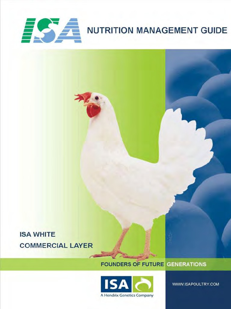 ISA Layer Nutrition Management Guide | PDF | Nutrition | Diet & Nutrition