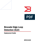 BRCD Edge Loop Detection DP
