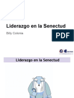 Liderazgo en La Senectud