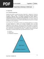 5-SupervisaoLiderancaeMotivacao-16.pdf