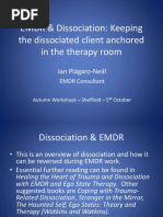 Plagaro Neill Dissociation Reversal Sheffield