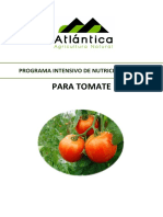 80 Programa de Tomate