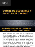 Comité de Seguridad y Salud en El Trabajo