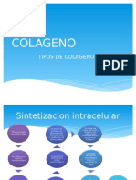 COLAGENO.pptx