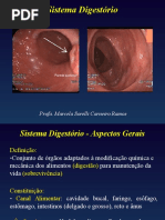 Aula 2 Digestório.ppt