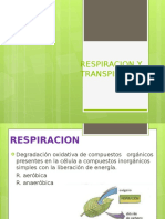 Clase2 - Respiracion y Transpiracion