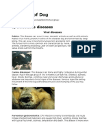 Diseases of Dogs
