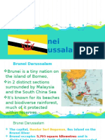 Brunei Brief Description