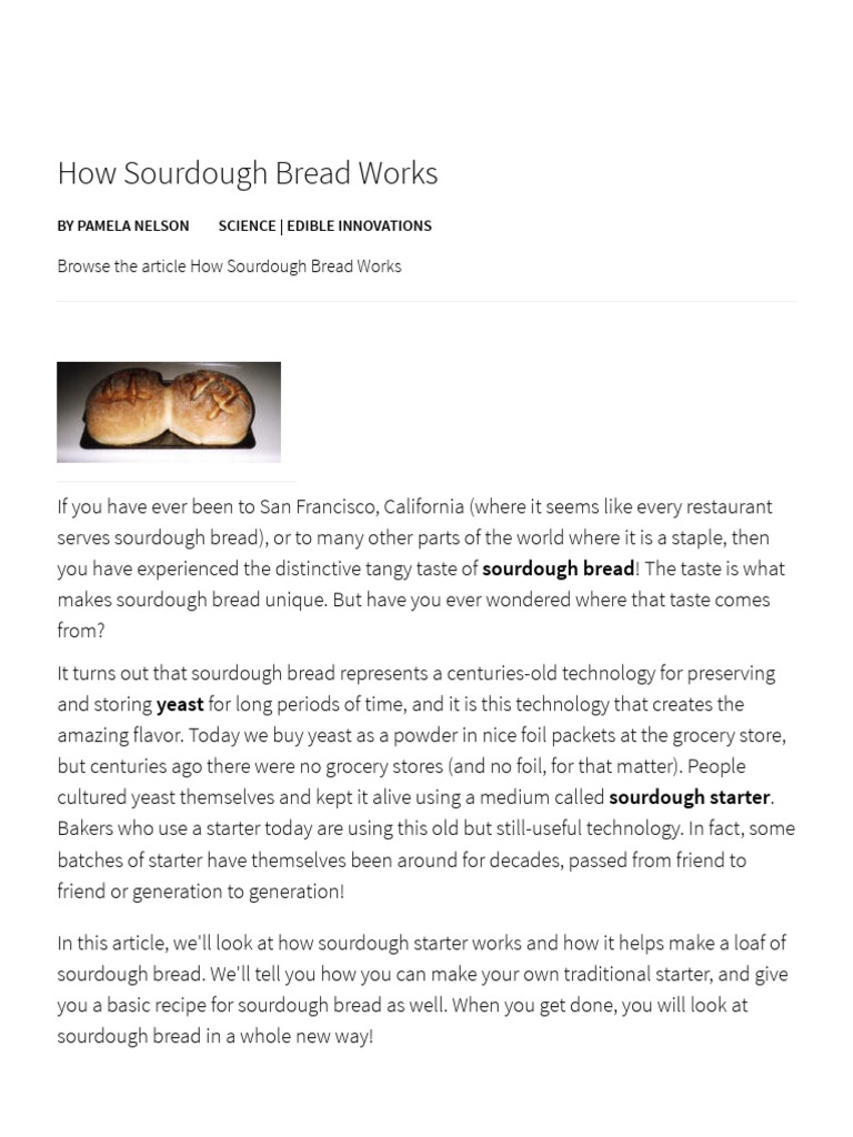 How Sourdough Bread Works _ HowStuffWorks Breads Sourdough