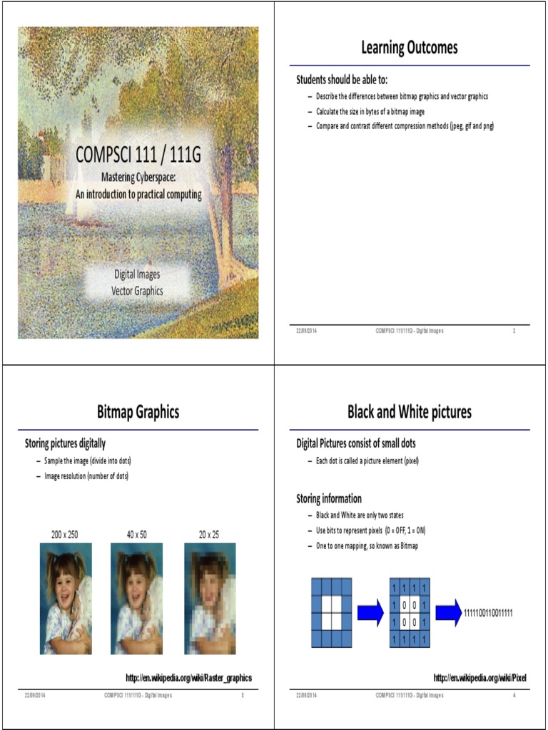 Understanding Bitmap and Vector Graphics | PDF | Pixel | Image Resolution