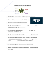 Practice Worksheet - Photosynthesis 2
