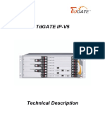 TdGATE IPV5 TechnicalDescription V1.3
