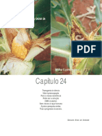 Cap. 24.pdf