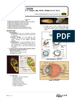 Physiology of Vision PDF