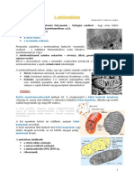 Mitokondrium Plasztisz Bioszfera