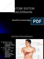 Anatomi Sistem Pencernaan0809