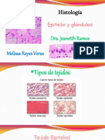 Epitelios y Glándulas (Histología)