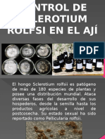 Control de Sclerotium Rolfsii en El Aji