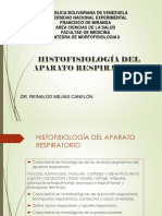 Histofisiologia Respiratoria 2016