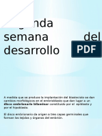 Segunda-semana-del-desarrollo.pptx