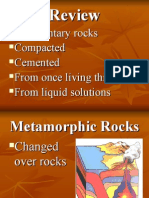 Sedimentary Rocks Compacted Cemented From Once Living Things From Liquid Solutions