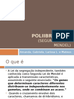 Polibridismo - Apresentação PowerPoint
