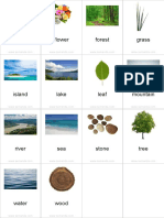 Flashcards Nature Pinyin