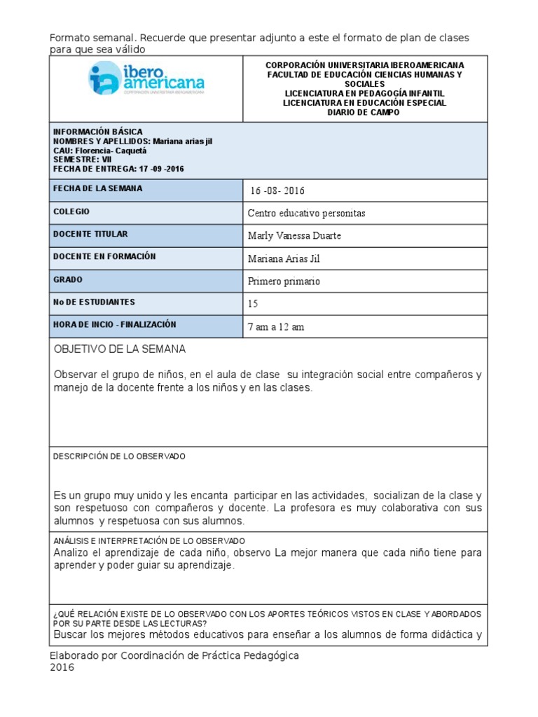 Formato Diario de Campo 17 Maestros Educación especial
