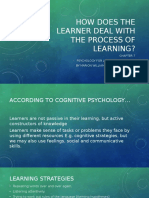 How Does the Learner Deal With the Process