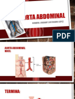 Aorta Abdominal